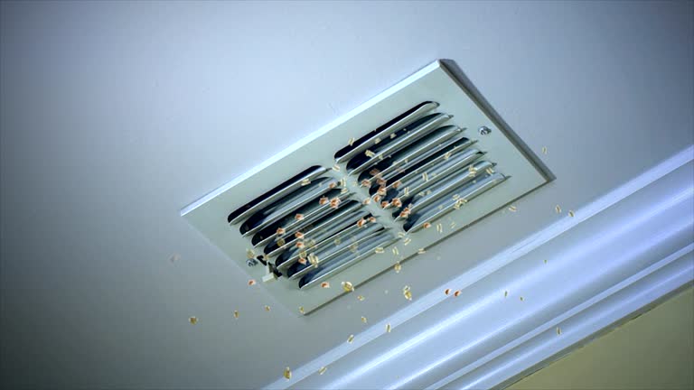Best Affordable HVAC Duct Cleaning  in Meridian, MS